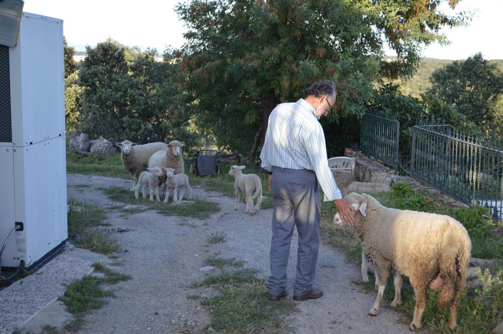 ホテルCasa Rural Las Gamitas Almoharin エクステリア 写真